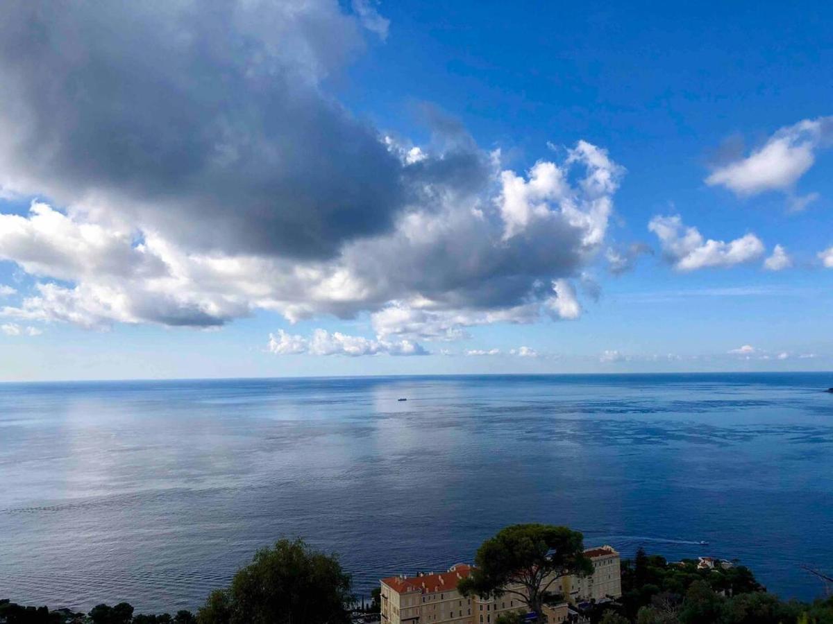 Viangella - Dramatic Sea View! Top Floor 2Km To Monaco Cap-d'Ail Dış mekan fotoğraf